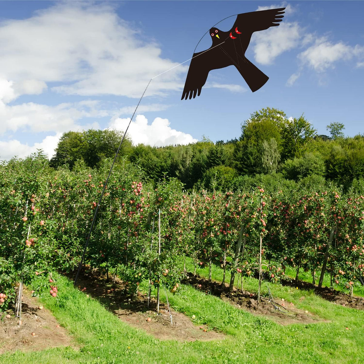 Bird Hawk Flying Kite Without Pole for Crops Farm Protector Bird Scarer Flying Kites - Style C Kite