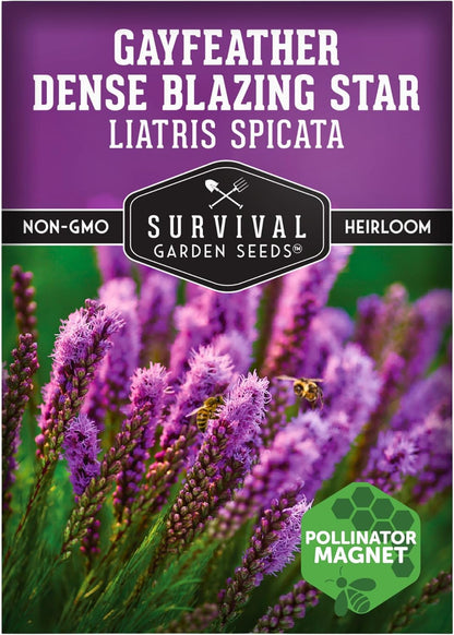 Survival Garden Seeds - Dense Blazing Star (Liatris spicata) | Gayfeather | Prairie Feather | North