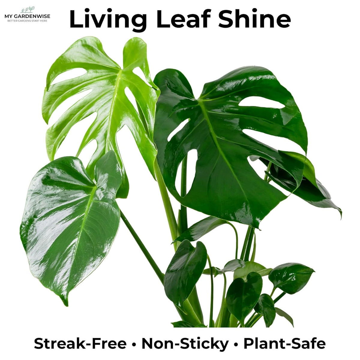 Leaf Shine Spray for Indoor Plants – Plant Leaf Cleaner & Shine for Real House Plants