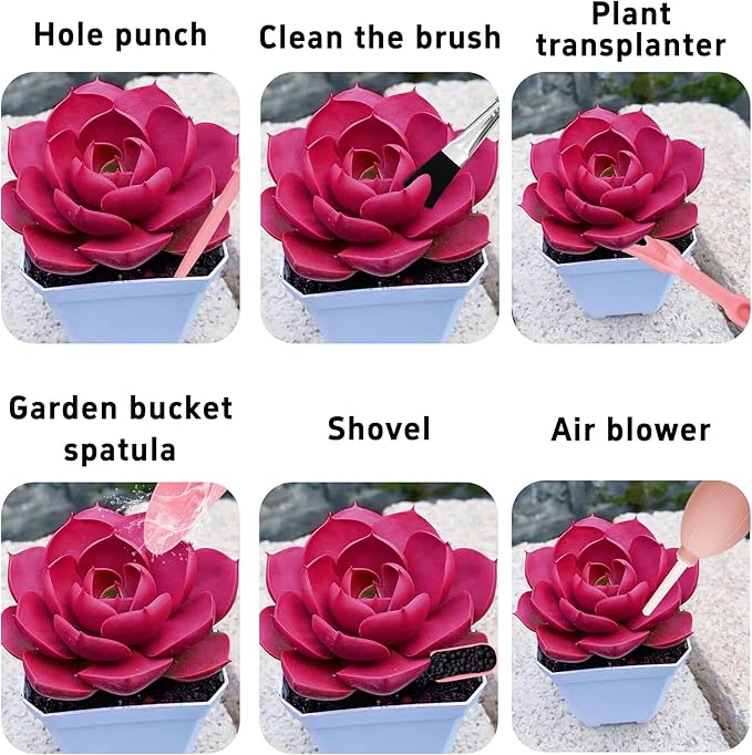 6Pcs Mini Succulent Tools Set, Garden Hand Tools Kit for Indoor Plant Care, Succulent Bonsai