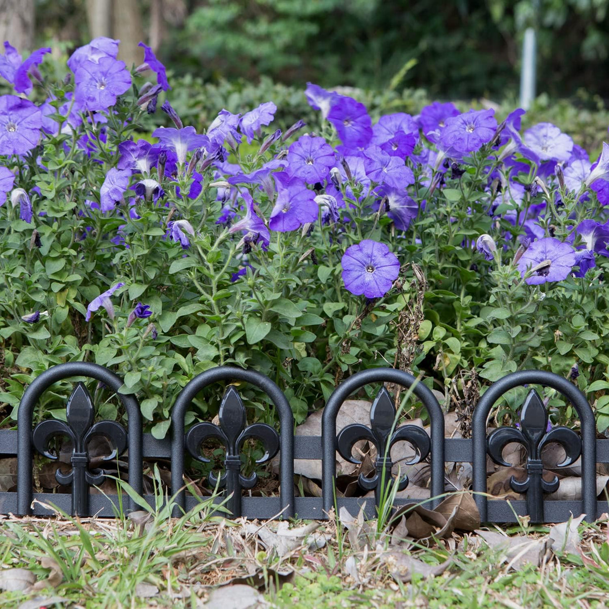 Evelyne Black Garden Border Plastic Edging: Wrought Iron Design - 15pcs Black Yard Landscaping