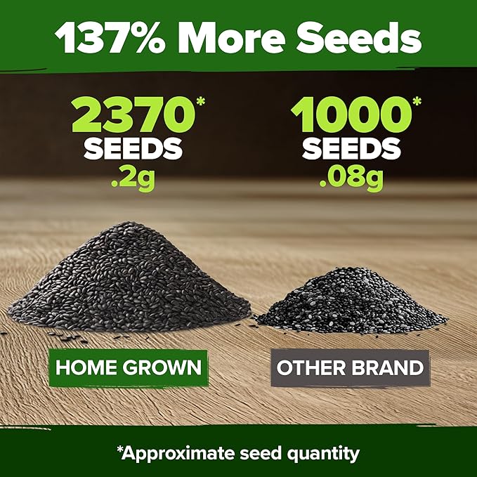 HOME GROWN 𝗨𝗦𝗔 𝗣𝗥𝗘𝗠𝗜𝗨𝗠 Peppermint Seeds Pack – 2,370 𝗡𝗢𝗡-𝗚𝗠𝗢 Heirloom Mint Seeds