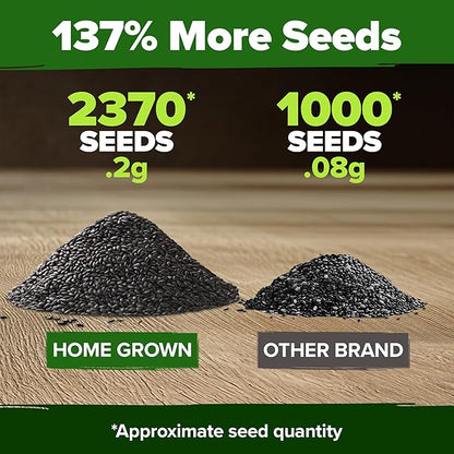 HOME GROWN 𝗨𝗦𝗔 𝗣𝗥𝗘𝗠𝗜𝗨𝗠 Peppermint Seeds Pack – 2,370 𝗡𝗢𝗡-𝗚𝗠𝗢 Heirloom Mint Seeds