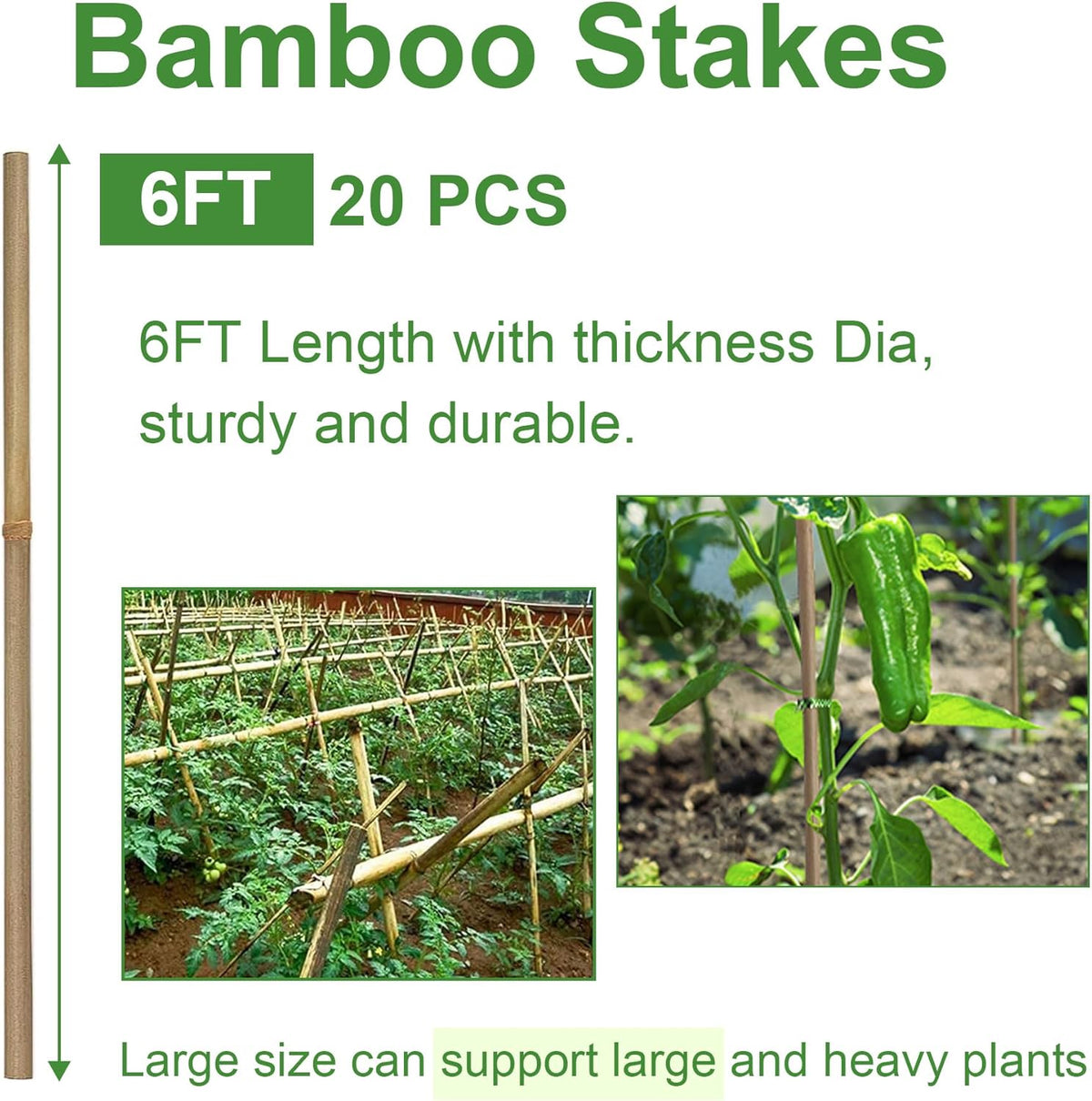 Bamboo Garden Stakes 2FT/3FT/4FT/4.8FT/6FT/7FT/8FT, Plant Stakes for Outdoor Plants, Plant Support