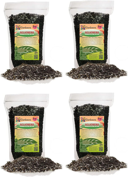 Gardenera Aglaonema Potting Mix - Unlock Robust Growth and Vibrant Leaves with Our High-Performance