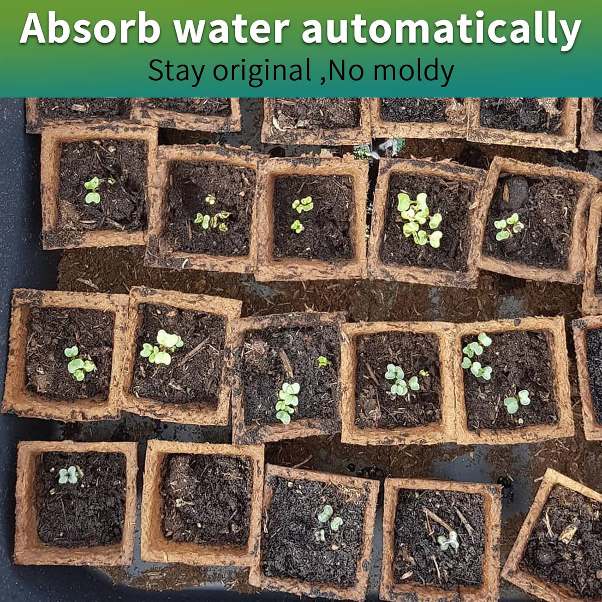 320Cells Seedling Start Trays,20 Pack Peat Pots Seedling Pots Biodegradable,Seedling Starter