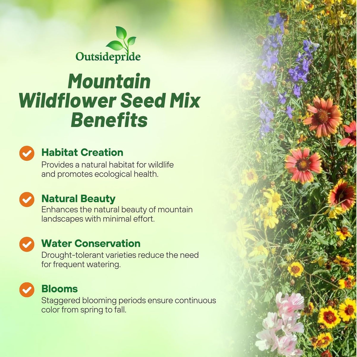 Outsidepride Mountain Wild Flower Seed Mix - 1/4 lb Premium Blend of Annual & Perennial Wildflower