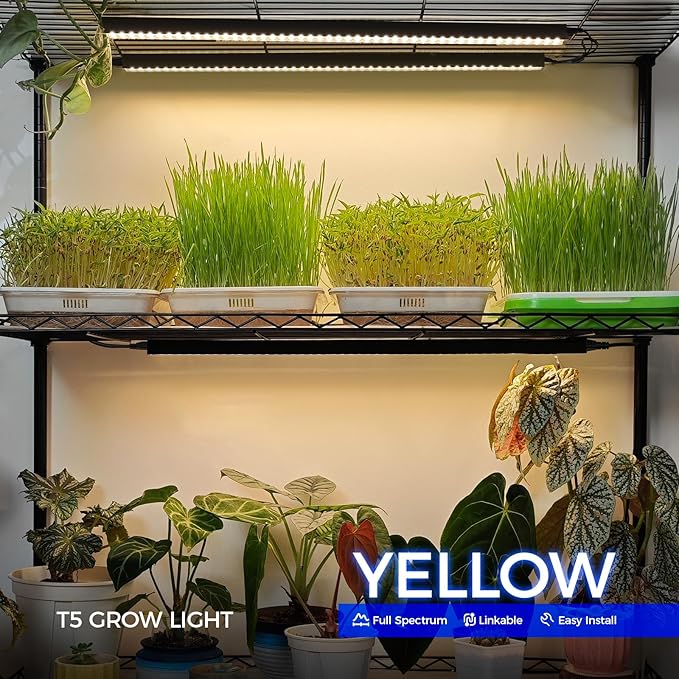 Barrina T5 Plant Grow Lights for Indoor Growing, 2FT 80W (8 x 10W) Full Spectrum LED Grow Light