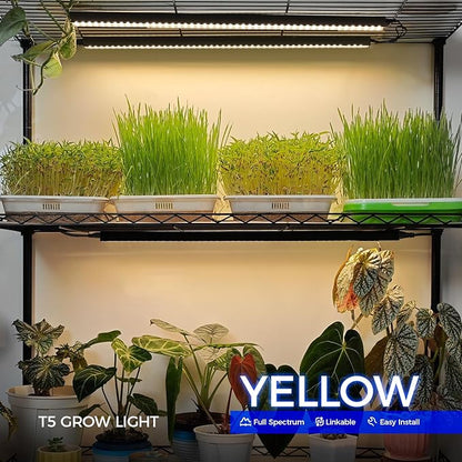 Barrina T5 Plant Grow Lights for Indoor Growing, 2FT 80W (8 x 10W) Full Spectrum LED Grow Light