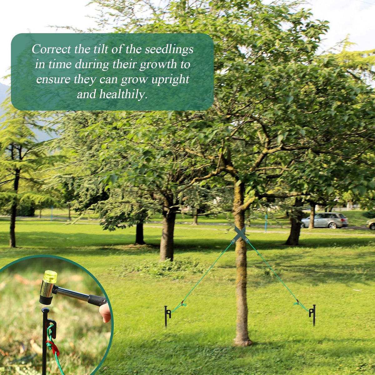 Suzile 120 Pcs Tree Stake Kit, Heavy Duty Tree Staking and Supports for Leaning Trees Include 11.