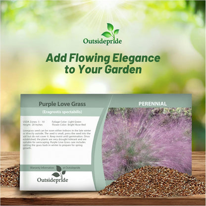 Outsidepride 1000 Seeds Perennial Eragrostis Spectabilis Ornamental Love Grass Seed for Planting