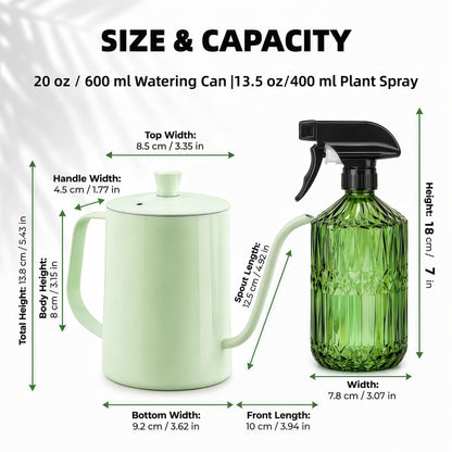 Amzgo 2 Pack Small Watering Can for Indoor Plants, 20 oz Metal Plant Watering Can with Long Spout