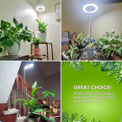Grow Lights for Indoor Plants Full Spectrum, 80 LEDs Plant Light for Indoor Growing with 2 Mounting