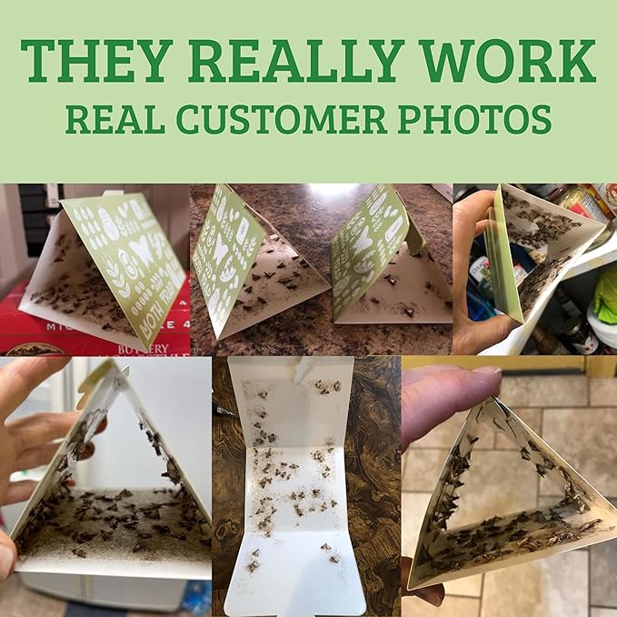 Superior Pantry Moth Traps 6-Pack with Pheromones Prime | No Insecticides | Safe, Non-Toxic and
