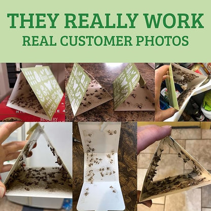 Superior Pantry Moth Traps 6-Pack with Pheromones Prime | No Insecticides | Safe, Non-Toxic and