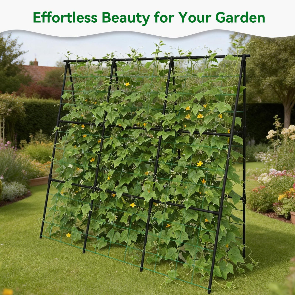 Trellume Cucumber Trellis - 49.4"*49.4" Metal Garden Trellis for Climbing Plants, Garden Trellis
