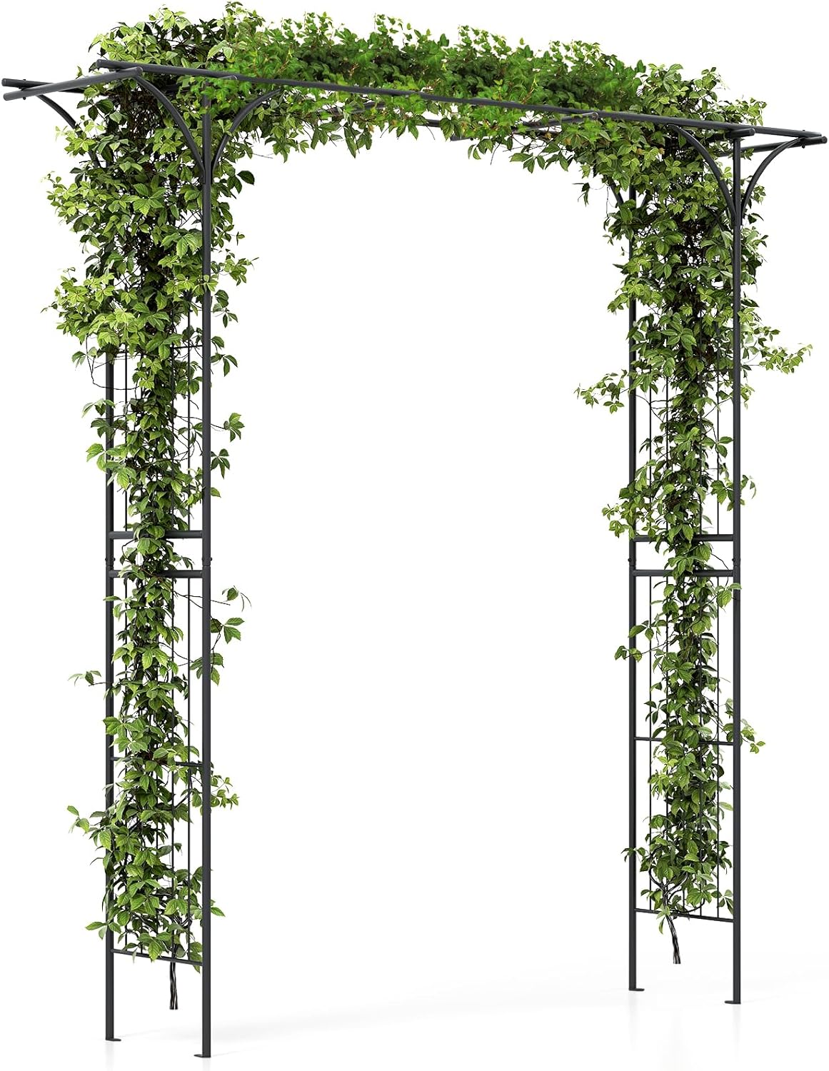 SAFSTAR 81-Inch Garden Arch, Metal Arbor Archway for Climbing Plants, Decorative Lawn Arbor