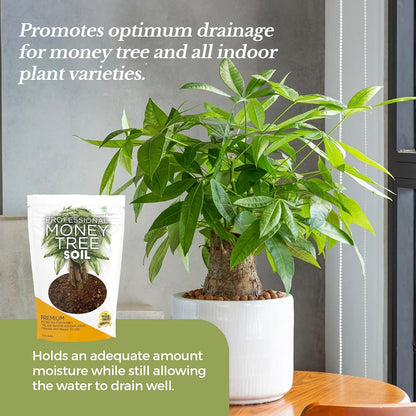 Professional Money Tree Soil | Large 2.2 Quarts Ready to Use for Money Tree Plants | Peat Moss