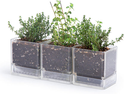 D'vine Dev 4 Inch Herb Planter Pot, Plastic Planter with Drainage Holes and Saucer, Modern
