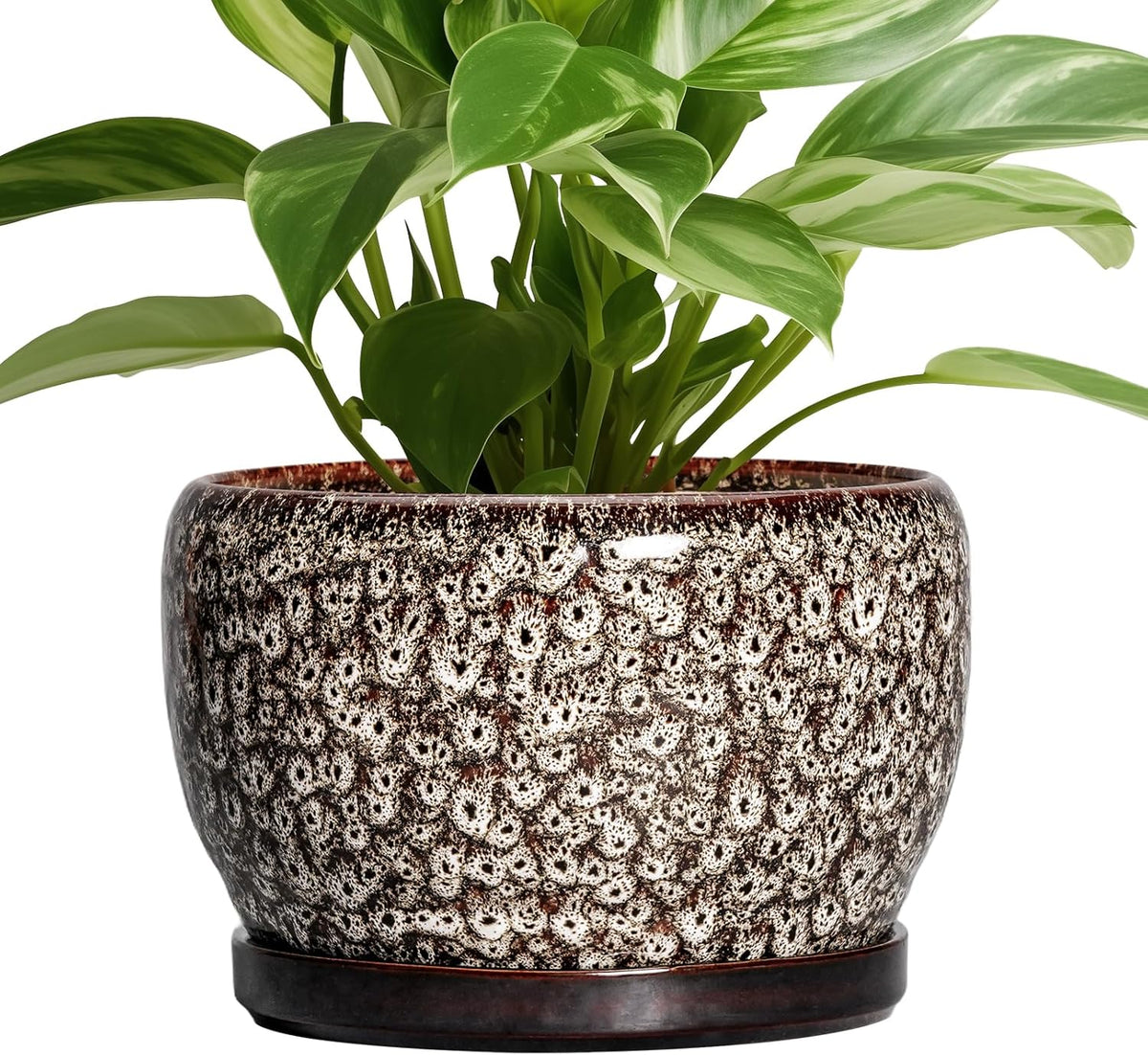 SQOWL Ceramic Planter - 8 inch Plant Pot Indoor with Drainage Hole and Plant Saucer, Round Ceramic