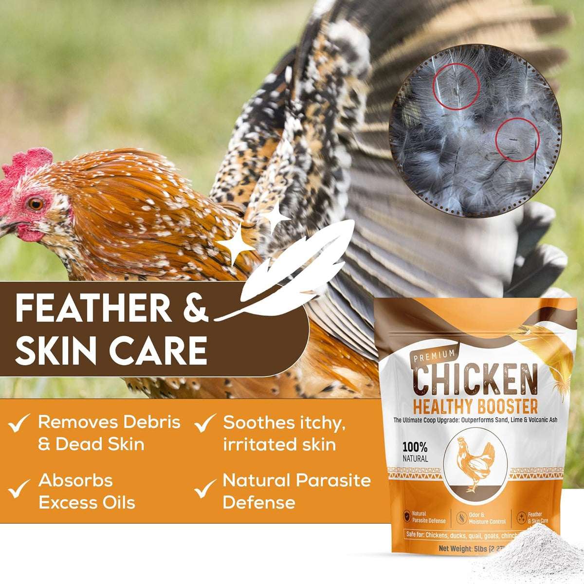 Chicken Dust Bath Sand Mix – Natural Poultry Dust for Feather & Skin Care | Diatomaceous Earth