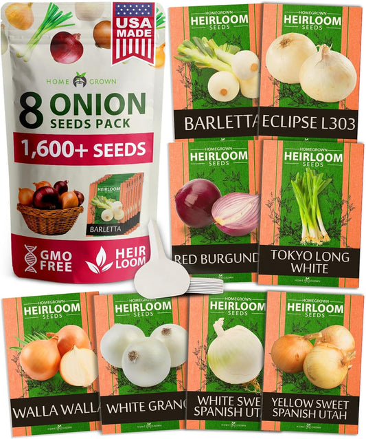HOME GROWN 𝗨𝗦𝗔 𝗣𝗥𝗘𝗠𝗜𝗨𝗠 8 Onion Seeds for Planting – 1,600 Heirloom 𝗡𝗢𝗡-𝗚𝗠𝗢