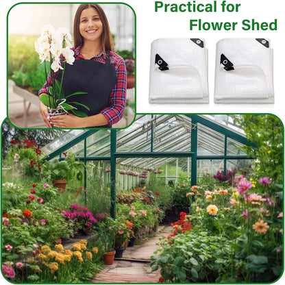 Berlune 3 Pack Clear Greenhouse Heavy Duty Tarp, 8 x 10 ft Clear Waterproof Cover, 14 Mil Plastic