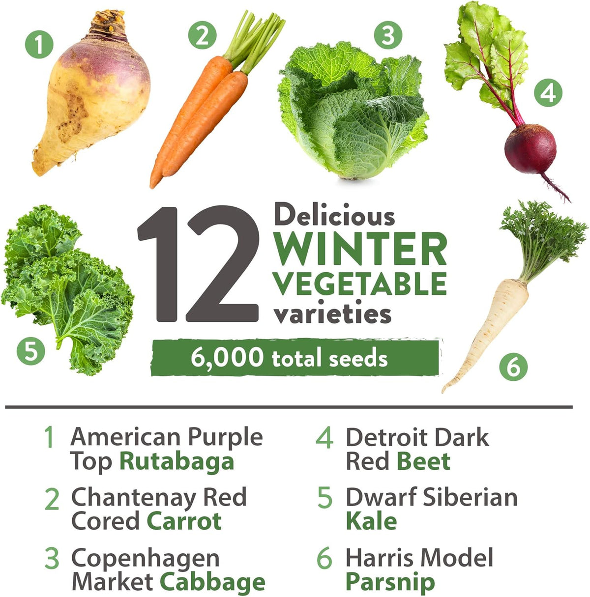 HOME GROWN 12 Winter Vegetable Seeds 𝗡𝗢𝗡-𝗚𝗠𝗢 Heirloom,Fall & Winter Vegetable Seeds for