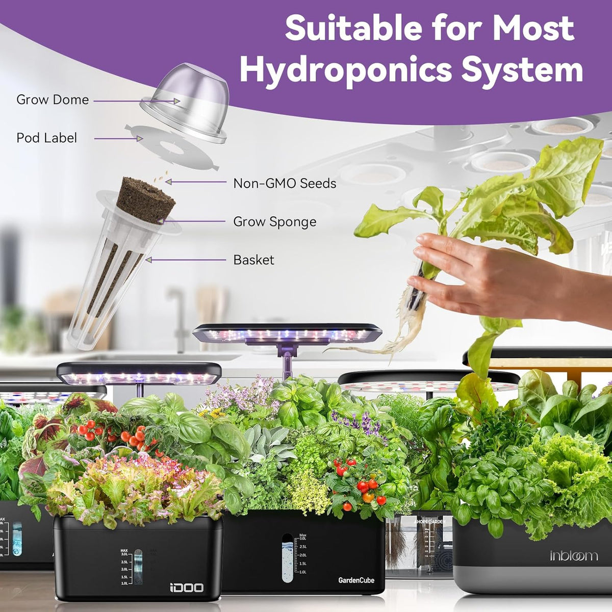 inbloom Salad Romaine Lettuce Seed Pod Kit for AeroGarden, Ahopegarden Hydroponics Growing System