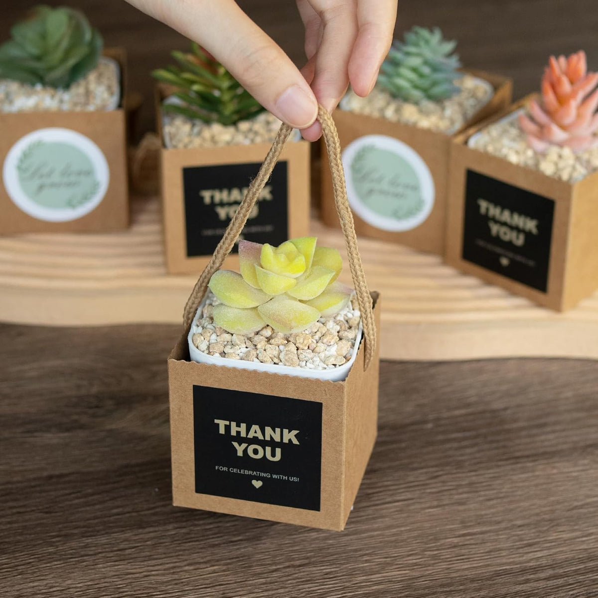 Temlum 2.5 Inch Succulent Wrap Bags (Fits 2.5″ Pots) with Thank You & Let Love Grow Stickers, Small