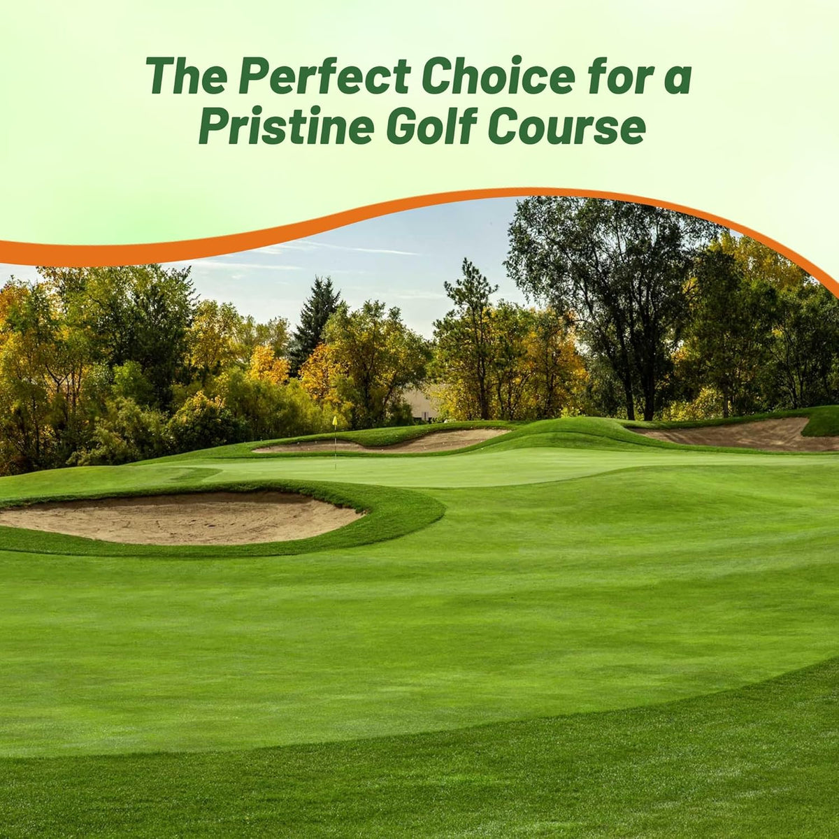 Outsidepride V8 Creeping Bentgrass Seed - 5 lbs. Fine-Bladed, Premium Quality Turf, Grass Seeds for