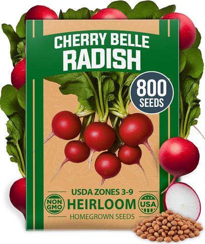 HOME GROWN 𝗨𝗦𝗔 𝗣𝗥𝗘𝗠𝗜𝗨𝗠 Cherry Belle Radish Seeds 800+ 𝗡𝗢𝗡-𝗚𝗠𝗢 Heirloom Vegetable