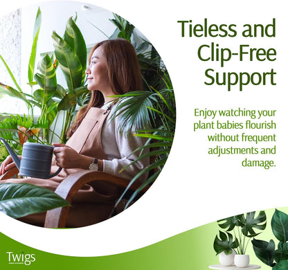 Twigs - Plant Support Stakes for Indoor, Outdoor & Climbing Plants, Gardening Supplies, Garden