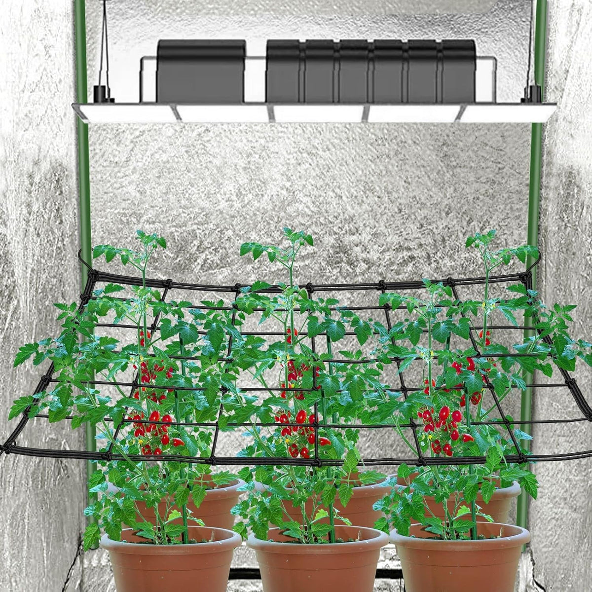 5x5 Heavy Duty Scrog Net with Hooks, Stretchy Net for Grow Tents, Cucumber Trellis for Garden