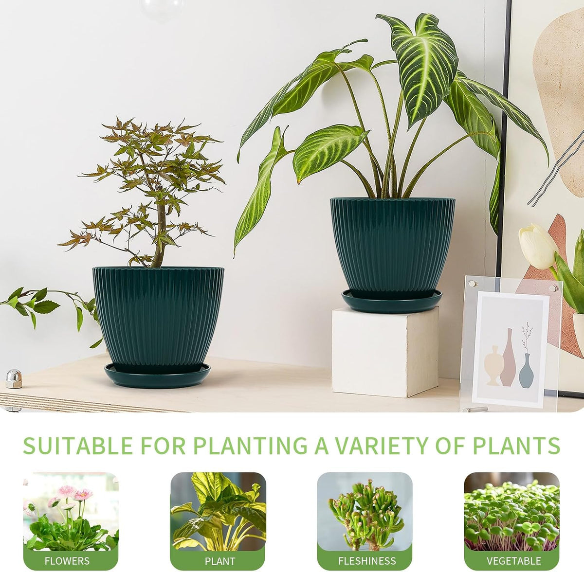 Plant Pots Indoor with Saucers & Drainage - 6 Pack Flower Pots - Plastic Planters for Indoor