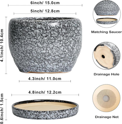 SQOWL Ceramic Pot for Plants - 6 Inch Ceramic Planter for Indoor Outdoor, Decorative Plant Pot with