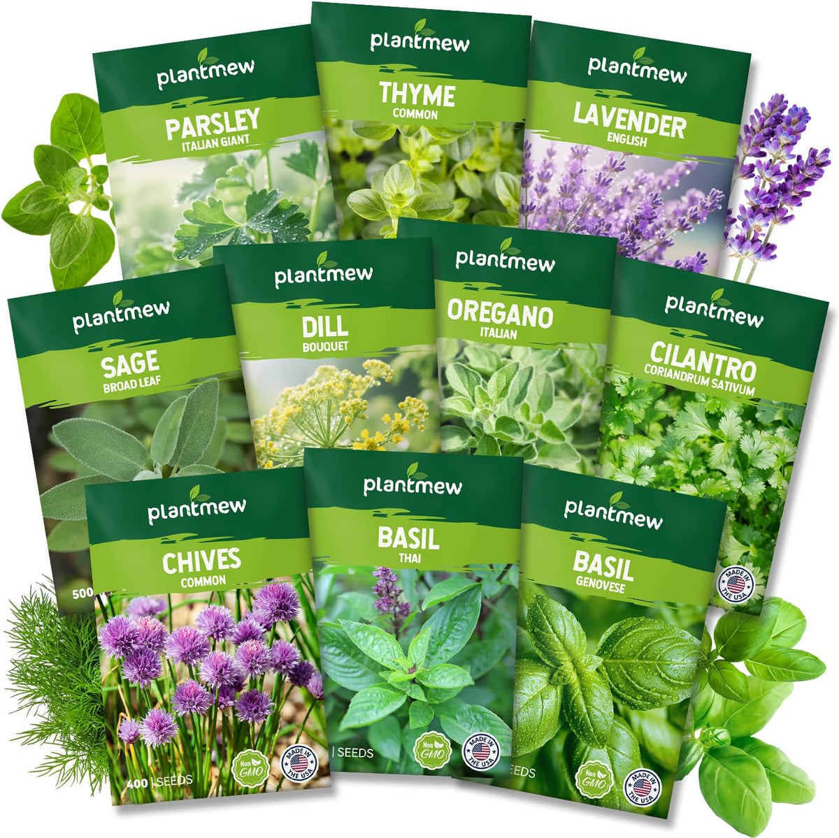 10 Herb Seeds Variety Pack - 7,000+ Heirloom Non-GMO Seeds - Basil, Cilantro, Lavender, Parsley