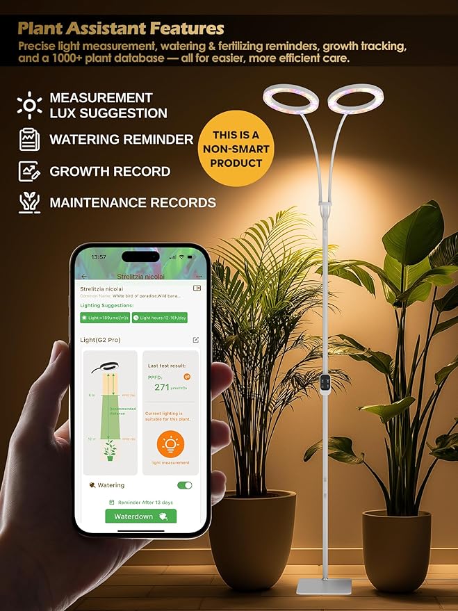 GLOWRIUM Grow Lights for Indoor Plants,Plant Light with 3/9/12/16H Grow Light Timer,2-Head 48W Full
