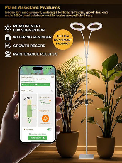 GLOWRIUM Grow Lights for Indoor Plants,Plant Light with 3/9/12/16H Grow Light Timer,2-Head 48W Full