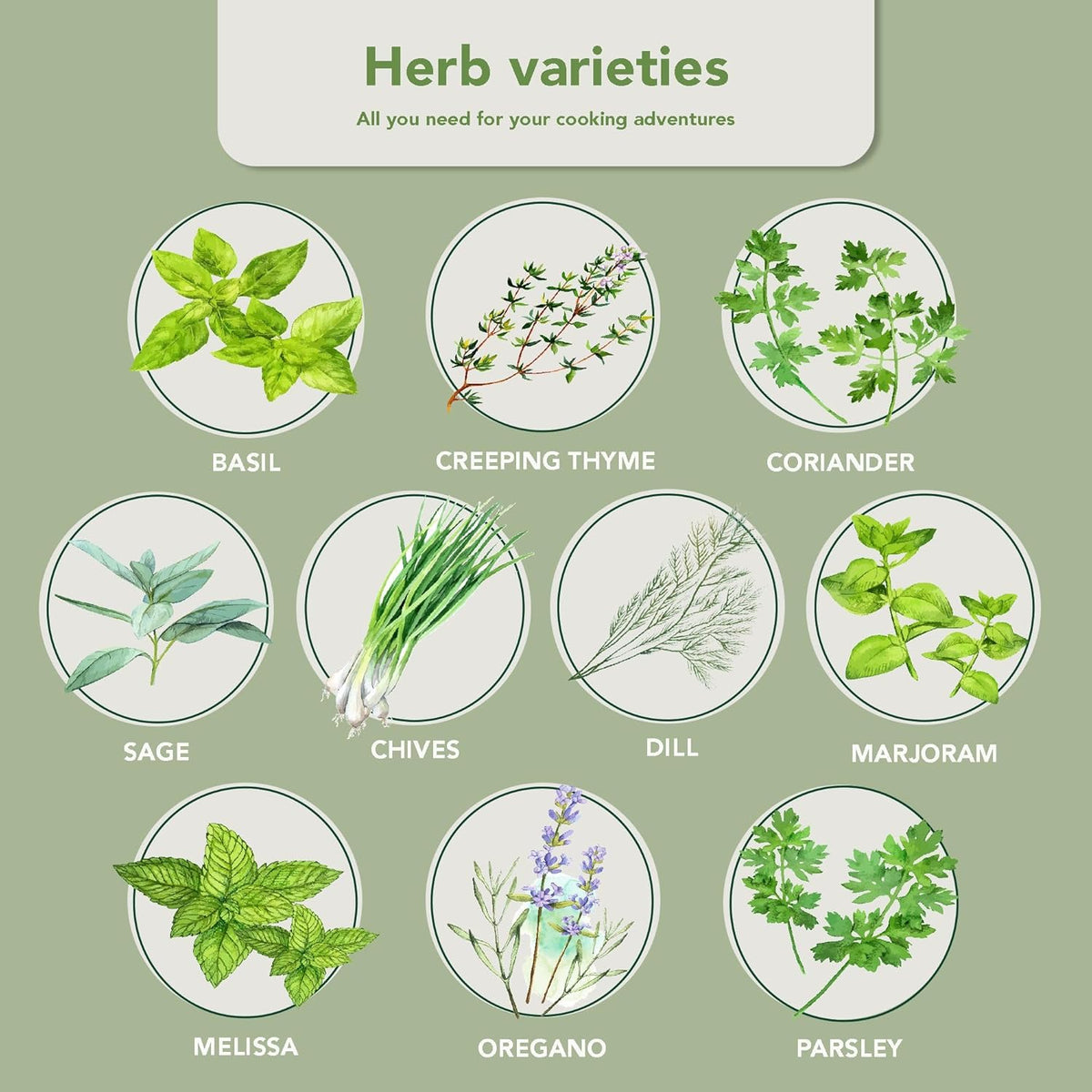 Garden Pack 10 Herb Indoor Window Herb Garden - Includes Pots, Trays, and Compressed Soil for Easy