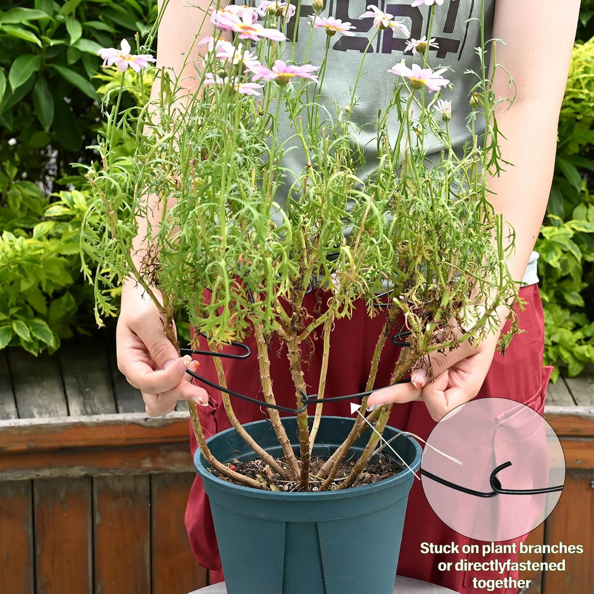 5PCS Monstera Plant Stem Support - 11 * 9.4 Inches, Durable Metal Stake Holder, Adjustable for