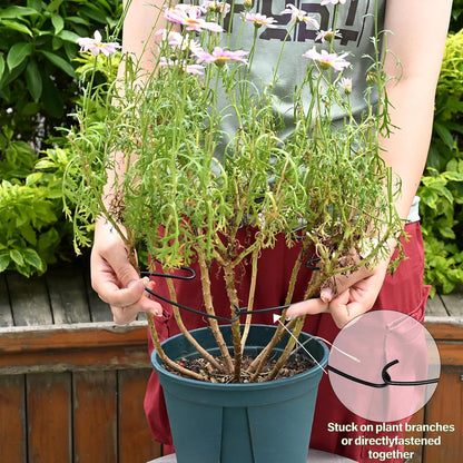 5PCS Monstera Plant Stem Support - 11 * 9.4 Inches, Durable Metal Stake Holder, Adjustable for