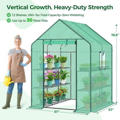 Ohuhu Greenhouse for Outdoors with Screen Windows, 57 x 57 x 76'' Walk in Plant Greenhouses Heavy