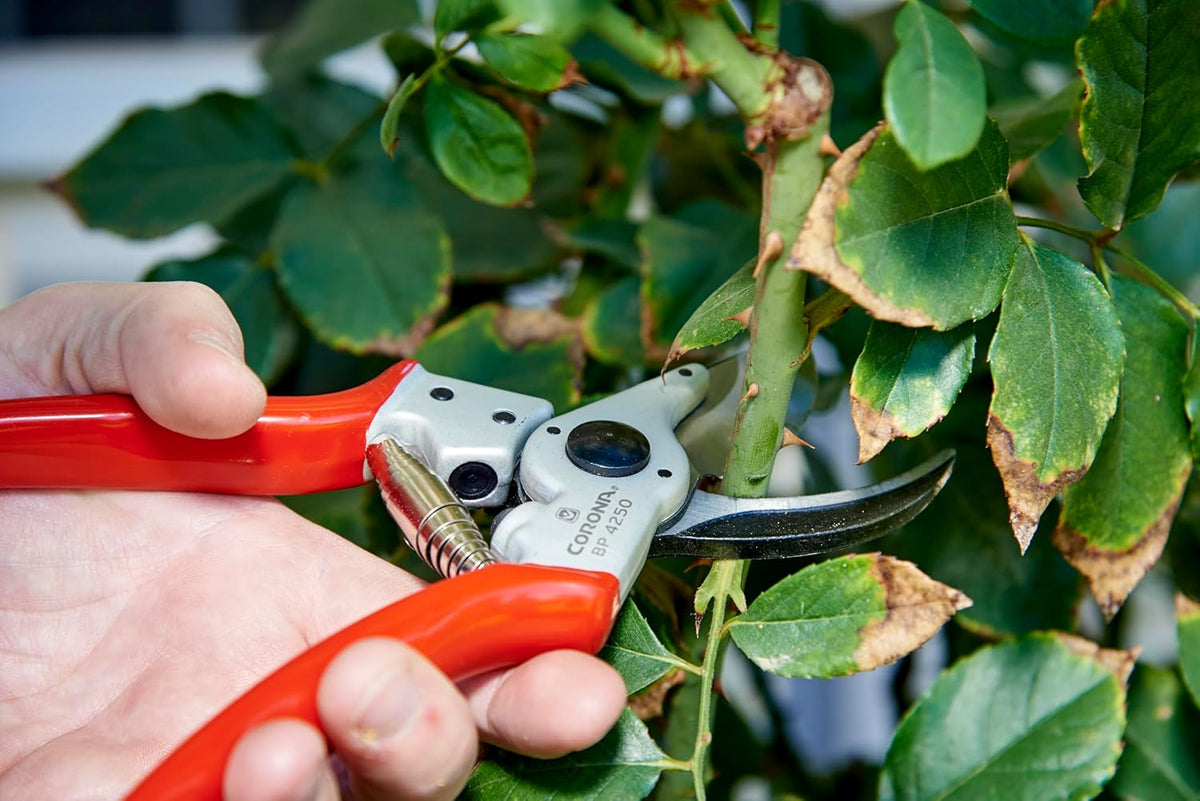 Corona BP 4250 Forged Steel Aluminum Handles Bypass Hand Pruner - 1 inch Cut Capacity Stem and