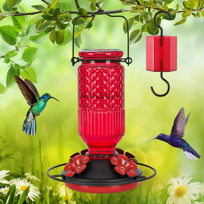 FEED GARDEN Glass Hummingbird Feeder for Outdoors Hanging, 16 oz Leak-Proof Nectar Feeder with Bee