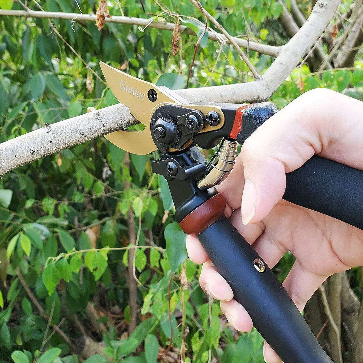 gonicc 8.5" Professional Rotating Bypass Titanium Coated Pruning Shears(GPPS-1014), Secateurs