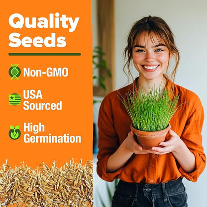 HOME GROWN 𝗨𝗦𝗔 𝗣𝗥𝗘𝗠𝗜𝗨𝗠 1 Pound Cat Grass Seeds for Cat & Kittens Oat & Barley Mix 100%