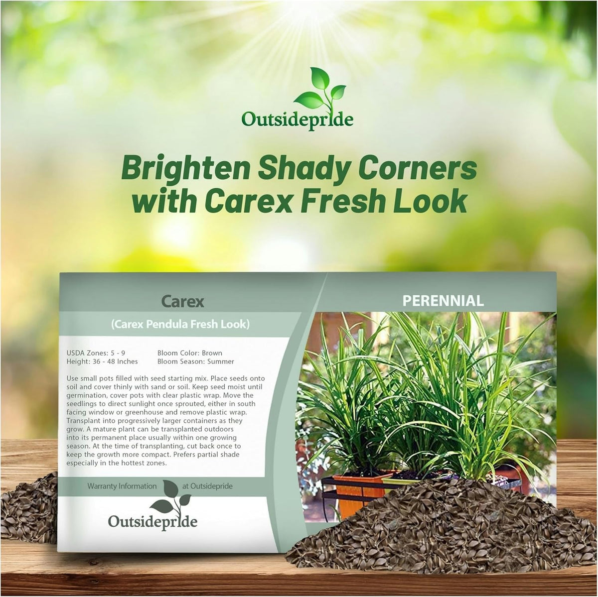 Outsidepride Carex Fresh Look Ornamental Grass Seed – 100 Pcs. Perennial, Low-Maintenance