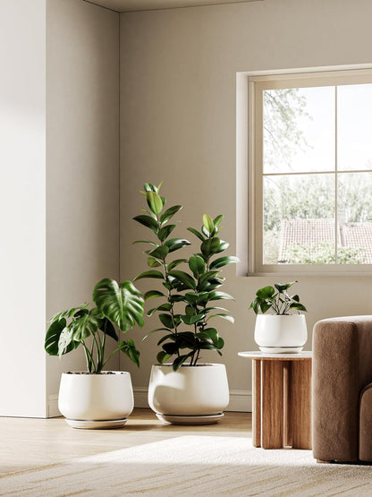 LE TAUCI Ceramic Plant Pots, Set of 2, 10 + 12 Inch Plant Pot, Elegant Planters for Indoor Plants