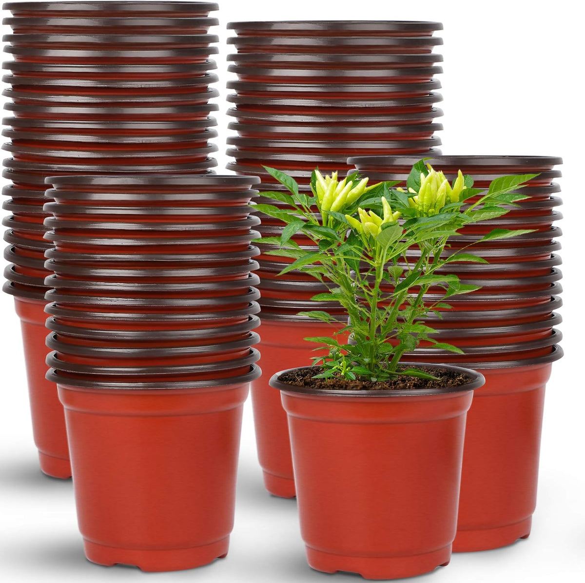 Augshy 150 Pcs 4" Plastic Plants Nursery Pot, Seed Starting Pots for Succulent Seedling Cutting